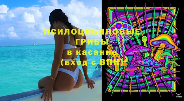 шишки Волоколамск