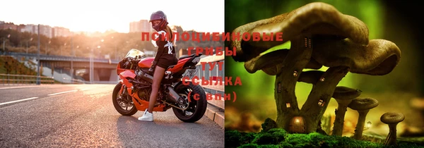 соль курить ск Володарск