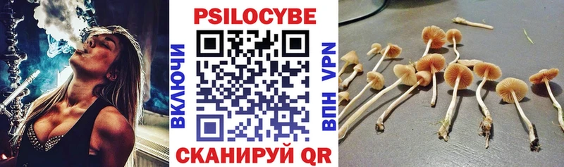 мега как войти  Новоржев  Галлюциногенные грибы MAGIC MUSHROOMS 
